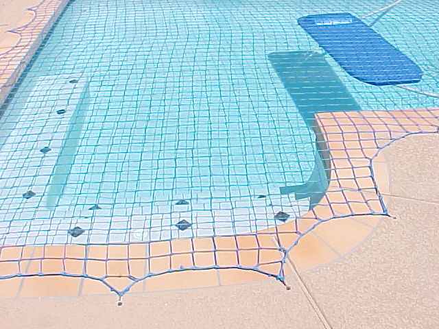 pool with a safety net over it